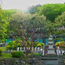 성보사