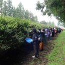 시즌글라스 이미지