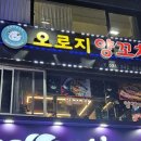 오로지양꼬치 이미지