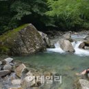 형제농원민박 이미지