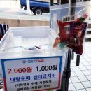 아이스홀릭 정관점