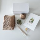 책상 위의 작은 정원, 테라리움 만들기 이미지