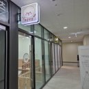 뽀숑 | [안성 애견 미용]뽀숑뽀숑 - 공도 애견 미용실 푸들 목욕 미용 후기