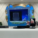 (주)라온커머스 | 롯데월드 그린연간권 자세한 후기, 골드권 그린권 차이, 사진촬영