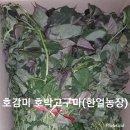 종순농장 이미지