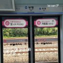 [주간일기] 9월 3주차 (feat.강릉여행)