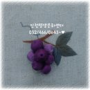 신나는공예세상 이미지