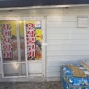 춤추는산오징어해