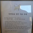 봉곡리커피 | <공주 애견동반 카페> 반포면 봉곡리커피 재방문 후기
