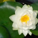 춘천기계공업고등학교 이미지