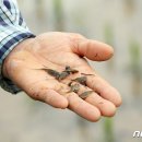 청정동물약품 이미지