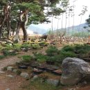 테마하우스민박 이미지