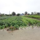 곡성-249 이미지