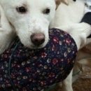 진순농장 이미지