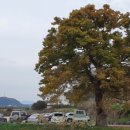 비내섬화장실 이미지