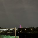 라우프독 이미지