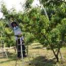 선희농장 이미지