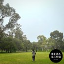 6511 | 호주 퍼스여행 로드트립 7박9일 코스 공유 - 킹스파크 브런치, 울월스 쇼핑