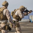 고덕24시 동물병원 이미지