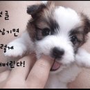 다