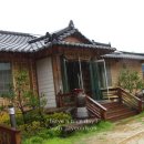 산야초체험관민박 티스토리