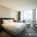 롯데시티호텔제주 이미지