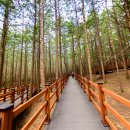 건지산숲속작은도서관 이미지