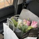 용산-이촌-223 이미지