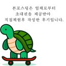 예술의 전당 행복을 찍는 사진작가 관람 후기