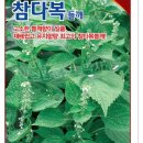 진농바이오 이미지