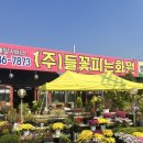 들꽃피는화원 이미지