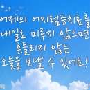 대구나무병원 이미지