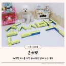 강아지똥 | 강아지 똥냄새 봉인하는 손쓰백 국내 최초 냄새 차단 봉투