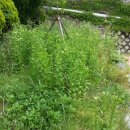 동상초등학교 이미지