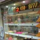 백설 애견샵 이미지