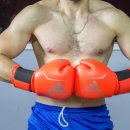 싸움(Fight) 이미지