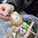 강릉네컷중앙시장2