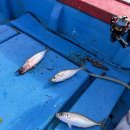 아주낚시민박 이미지