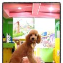 루시펫살롱 이미지