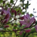 대흥농장 이미지