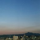 내고5길 | 2025년 5월 일상 - 먹고 연차내고 꽃🌷받고 일하고