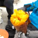 산으로 간 니모 캠핑장 이미지