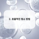하우스크리닝