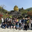 내동공원매점 | 용인 와우정사 완벽 가이드 — 8m 황금불두·세계최대 와불·3천불상·입장료 무료까지 총정리 (2026...