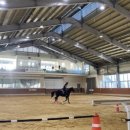 대전승마장 이미지