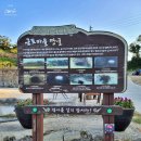 선창 경로당 | 거제도핫플♡ 인생샷명소 근포마을동굴 위치 &amp; 근처 가볼만한 곳