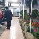 고흥금다연 이미지