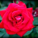 계월농장 이미지