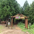 계룡산유아숲체험원 이미지