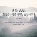 아라뜰펜션 네이버블로그